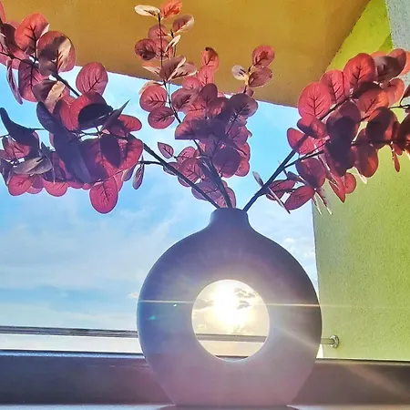 Summerland Breeze *